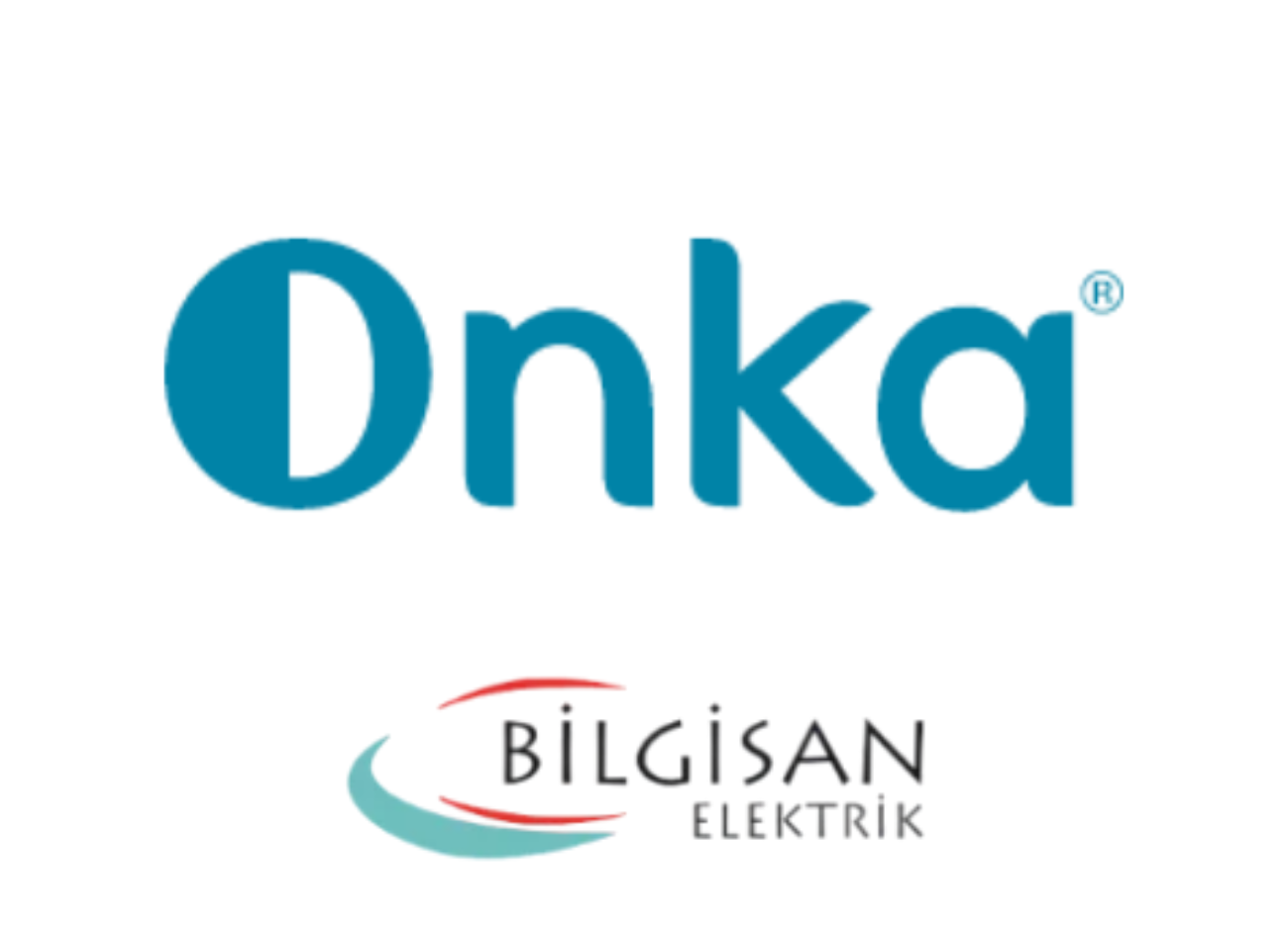 Bilgisan Elektrik