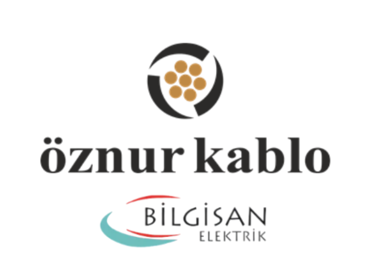 Bilgisan Elektrik